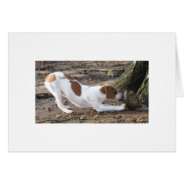 Dottie bij het spelen (Voorkant Horizontaal)