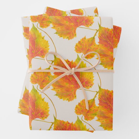 Dotty Spotty Herfst op een papierset met onmiddell Inpakpapier Vel (In situ)