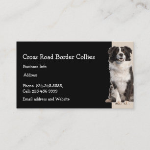 Douane-border collies Dog Pet Animal Logo Visitekaartje