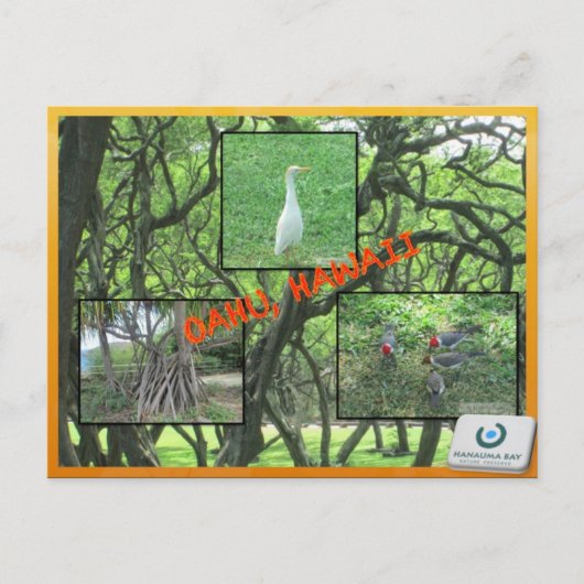 DOUANE BRIEFKAARTEN - HAWAII COLLAGE# 14 (Voorkant)