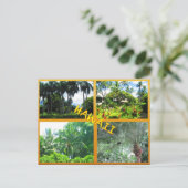 DOUANE BRIEFKAARTEN - HAWAII COLLAGE# 22 (Staand voorkant)