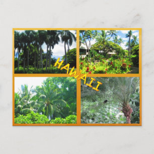 DOUANE BRIEFKAARTEN - HAWAII COLLAGE# 22