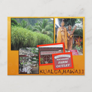 DOUANE BRIEFKAARTEN - HAWAII COLLAGE# 25
