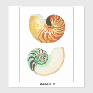 DOUANE DOUANE VINYL STICKER : NAUTILUS