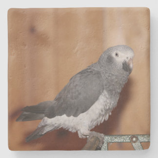 DOUANE FOTO-ONDERZETTER STENEN ONDERZETTER