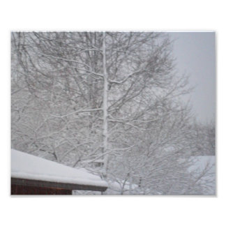 DOUANE FOTO-PRINTS FOTO AFDRUK