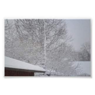 DOUANE FOTO-PRINTS FOTO AFDRUK