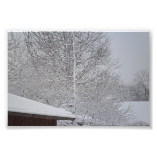 DOUANE FOTO-PRINTS FOTO AFDRUK (Voorkant)