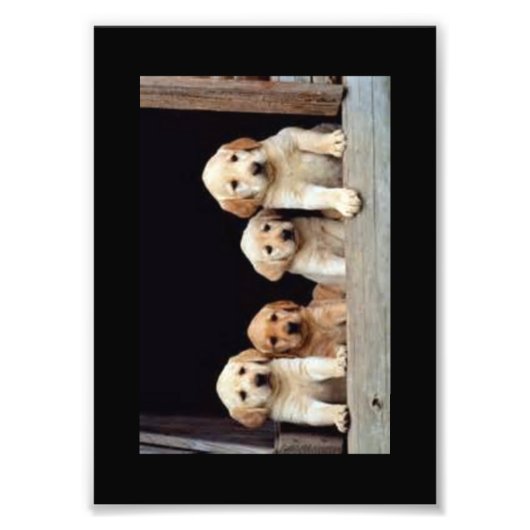 DOUANE FOTO-PRINTS FOTO AFDRUK (Voorkant)