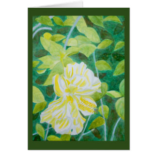 Double aquarelle blanche de fleur de ketmie