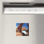 Double Arch Magnet (In Situ (Lave-vaisselle))