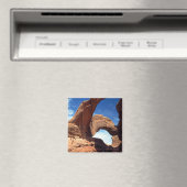 Double Arch Magnet Magneet (Insitu (Vaatwasser))