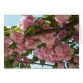 Double Blossoming Cherry (Devant horizontal)