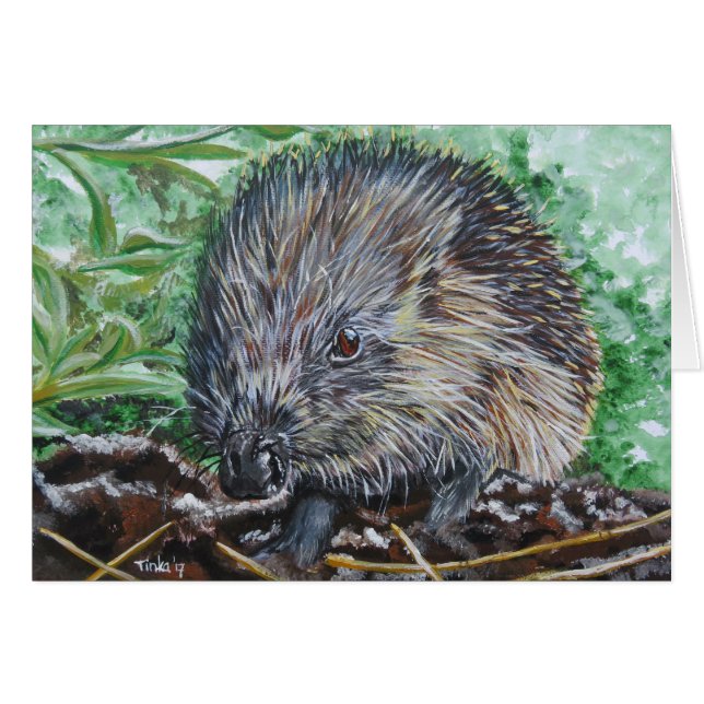 Double carte Egel. (Devant horizontal)