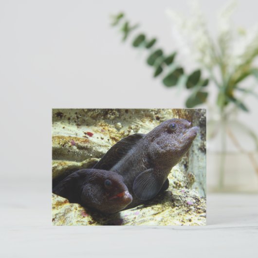 Double carte postale (Debout devant)