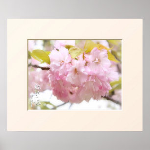 Double Cherry Blossom: Benitemari affiche
