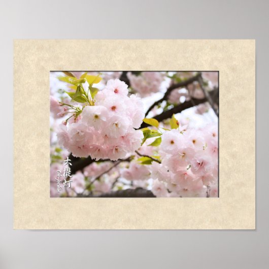 Double Cherry Blossom: Oh-jochin affiche (Devant)