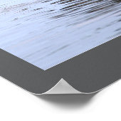 Double-crested Cormorant Bird Poster (Coin)