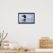 Double-crested Cormorant Bird Poster (Cuisine)