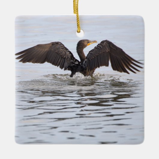 Double-crested Cormorant Ornament (Voorkant)