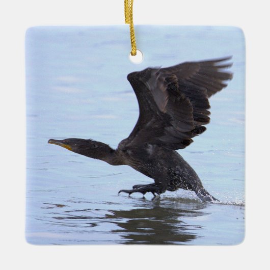 Double-crested Cormorant Ornament  (Voorkant)