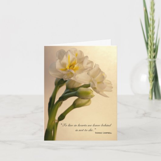 Double Daffodique blanc Sympathy Merci (Devant)