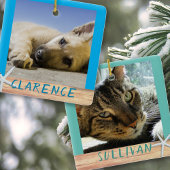 Double face Animaux Photos Starfish Ornement en cé