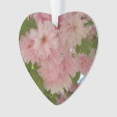 Double floraison cerisier II printemps fleuri (devant)