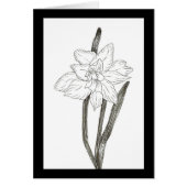 Double jonquille (Devant)