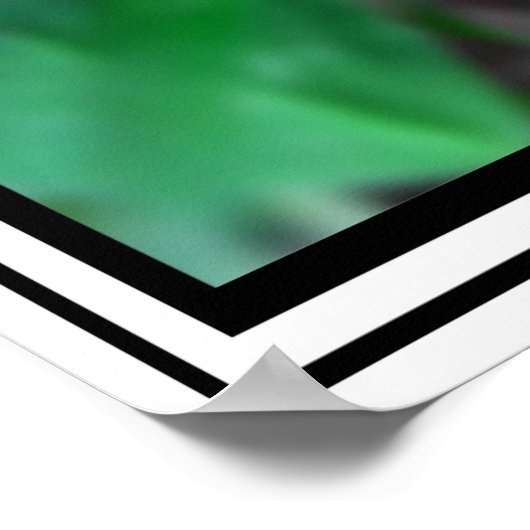 Double Lucky - Poster (Coin)