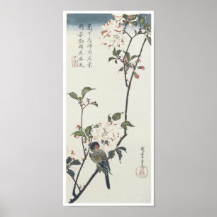 Double Petaled Cherry Blossom, Hiroshige, 1830 Poster