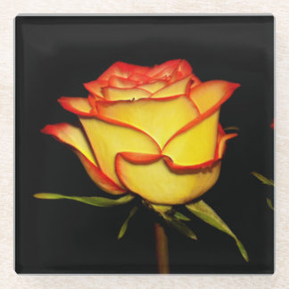 Double Red and Yellow Rose Bloom Glazen Onderzetter