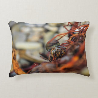 Double Sided Hermit Crab Pillow Accent Kussen