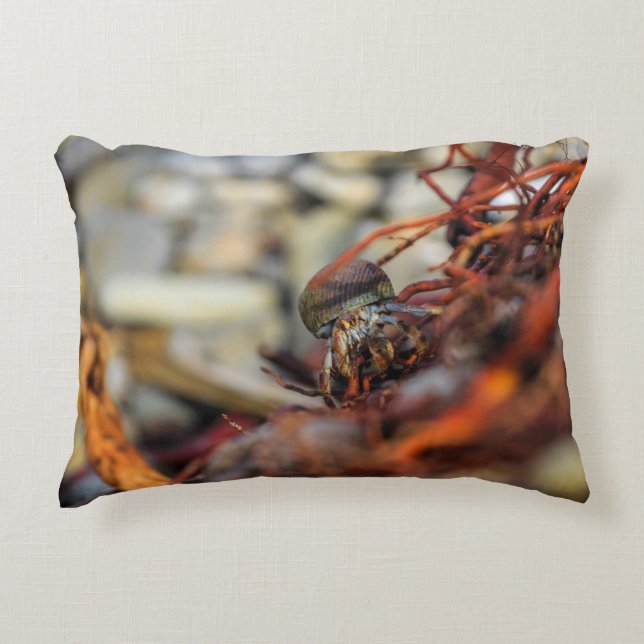 Double Sided Hermit Crab Pillow Accent Kussen (Voorkant)