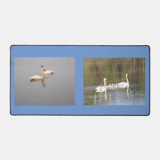 Double Swan Photo Desk Mat (Recto)
