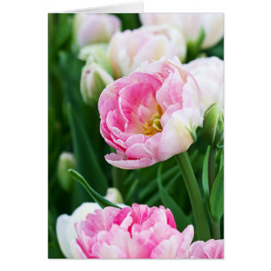 Double Tulipe Printemps Jardin Texte personnalisé