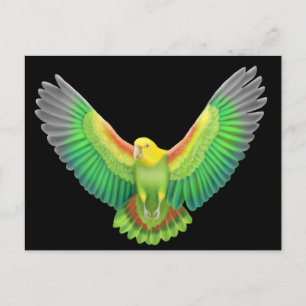 Double Yellow Headed Amazon Briefkaart