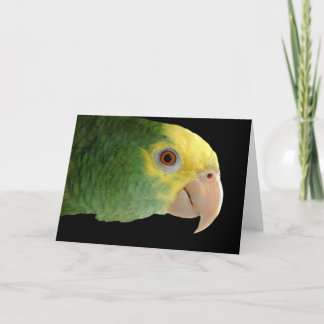 Double Yellowhead Amazon Note Card Kaart