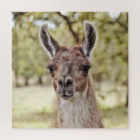 Douce et mignonne Llama Face Gros Puzzle (Vertical)