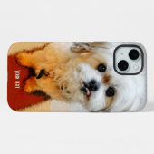 Douce Malshi (Verso Horizontal)