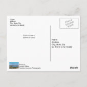 Doucement De Neige À Table Rock Lake Carte Postale (Dos)