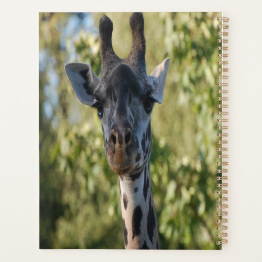 Douche girafe (Dos)