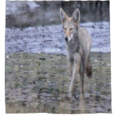 Douche rideau Coyote (Devant)