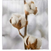 Douche Rideau en coton (Devant)