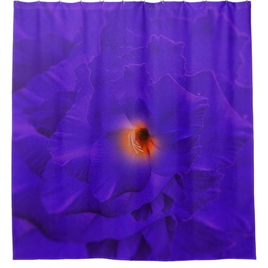 Douche Rideau Fleur d'épée violet Multiplier (Devant)