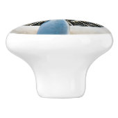 Douglas DC-3 Vliegtuig. propeller Keramische Knop (Zijkant)