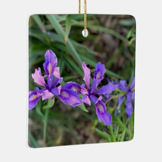 Douglas Iris Ornament (Rechts)