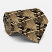 Douglas SBD Dauntless Bomber Planes uit de Tweede  Stropdas (Opgerold)