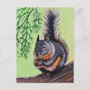 Douglas Squirrel Painting Briefkaart