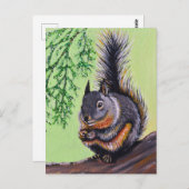 Douglas Squirrel Painting Briefkaart (Voorkant / Achterkant)